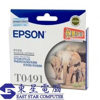 Epson (T0491) C13T049180 (原裝) Ink - Black STY Phot